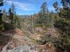 232 - 20241022 Tahoe Carr Lake Grouse Ridge Google
