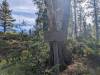 234 - 20241022 Tahoe Carr Lake Grouse Ridge Google