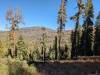 242 - 20241022 Tahoe Carr Lake Grouse Ridge Google
