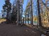 250 - 20241022 Tahoe Carr Lake Grouse Ridge Google