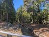 352 - 20241022 Tahoe Carr Lake Grouse Ridge Google