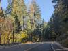 355 - 20241022 Tahoe Carr Lake Grouse Ridge Google