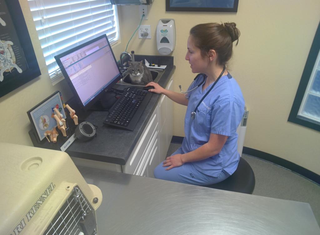 400 - 20140207 Five Kidney Fluids Followup