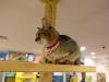 126 - 20160517 Seoul Cat Playground