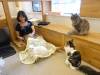 121 - 20160726 Osaka Cat Tail and Neko no Jikan