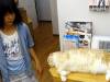 125 - 20160726 Osaka Cat Tail and Neko no Jikan