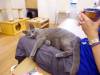 127 - 20160726 Osaka Cat Tail and Neko no Jikan