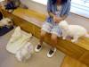 132 - 20160726 Osaka Cat Tail and Neko no Jikan