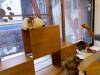 137 - 20160726 Osaka Cat Tail and Neko no Jikan