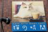 144 - 20160726 Osaka Cat Tail and Neko no Jikan