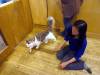 155 - 20160726 Osaka Cat Tail and Neko no Jikan