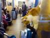 102 - 20170103 Paris Cafe Des Chats