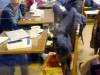 104 - 20170103 Paris Cafe Des Chats