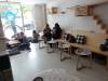 109 - 20170524 KitTea Cat Cafe