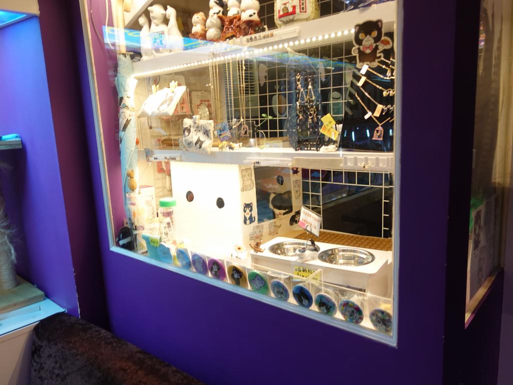 103 - 20171106 HKG Cat Cafes