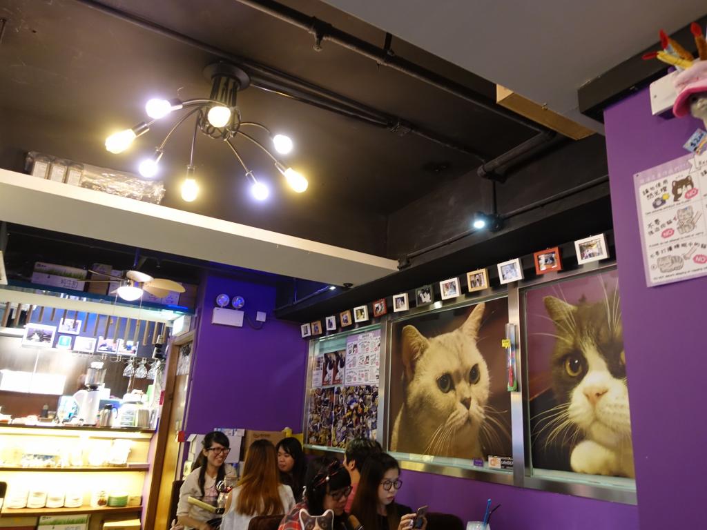 109 - 20171106 HKG Cat Cafes