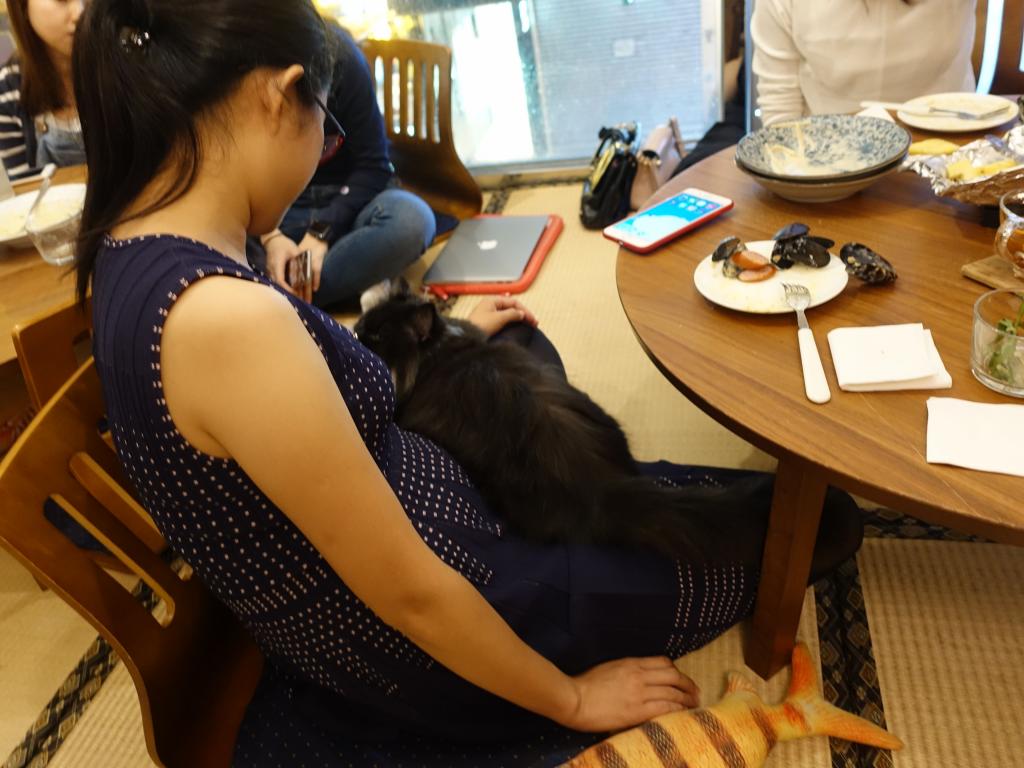 210 - 20171106 HKG Cat Cafes