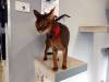113 - 20200113 Gold Coast Crazy Cat Cafe