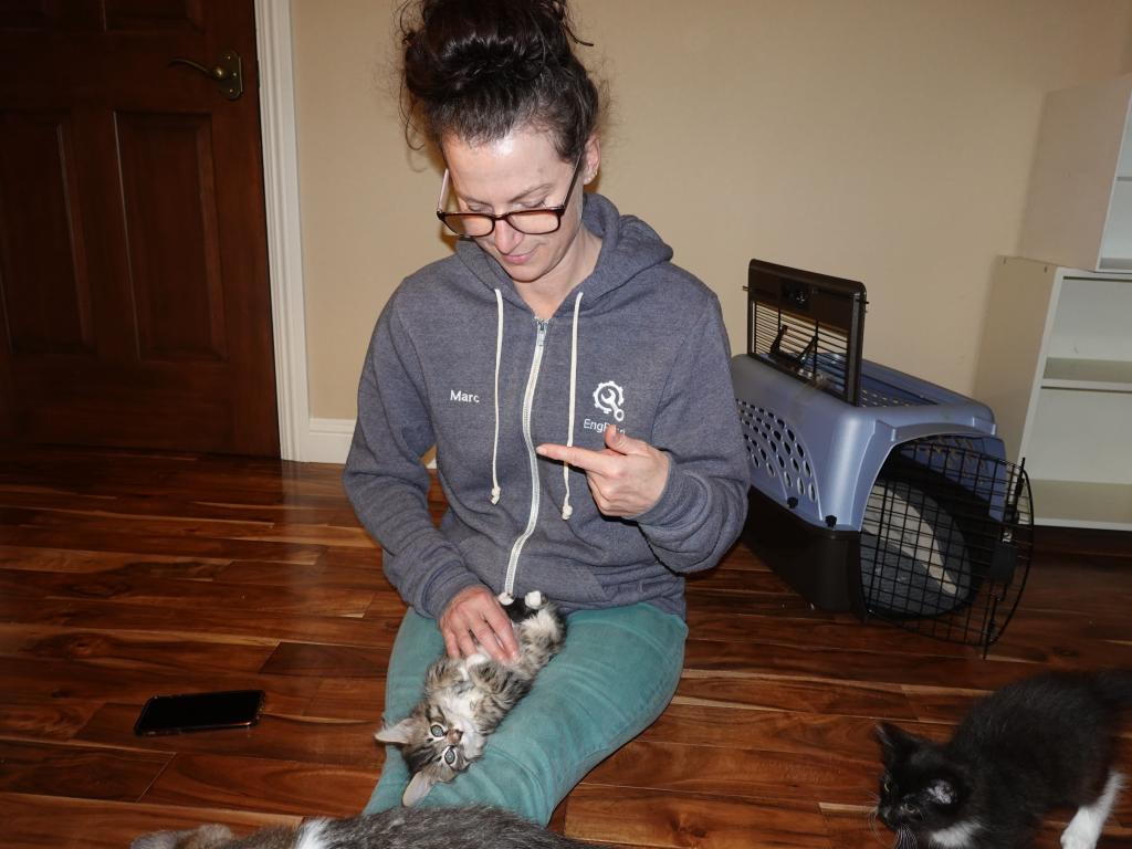 163 - 202105 Foster Kitties