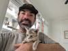 115 - 20231106 Phuket Up 2 You Cat Cafe Google
