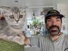 121 - 20231106 Phuket Up 2 You Cat Cafe Google