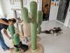 122 - 20231106 Phuket Up 2 You Cat Cafe Google
