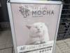 1501 - 20240120 Mocha Cat Cafe