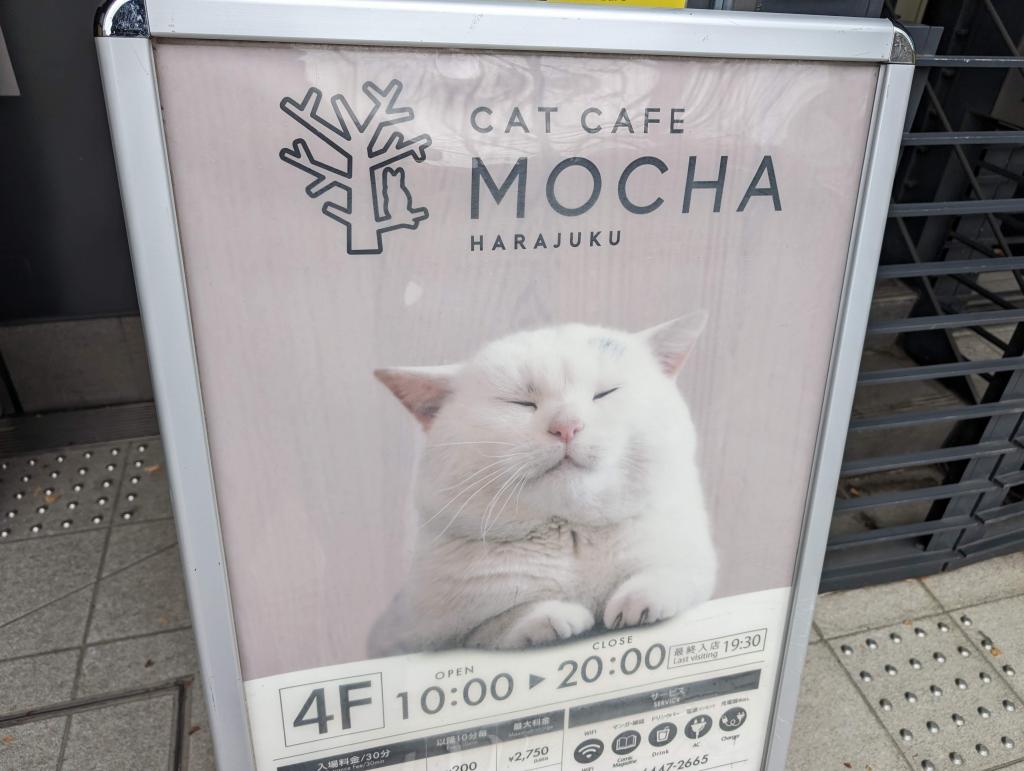 1501 - 20240120 Mocha Cat Cafe