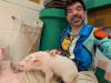 1240 - 20250411 Takeshita Animal Cafes Google Pixel 9 Pro XL