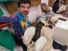 1274 - 20250411 Takeshita Animal Cafes Google Pixel 9 Pro XL
