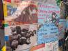 1280 - 20250411 Takeshita Animal Cafes Google Pixel 9 Pro XL