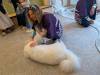 1283 - 20250411 Takeshita Animal Cafes Google Pixel 9 Pro XL