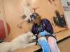 1286 - 20250411 Takeshita Animal Cafes Google Pixel 9 Pro XL