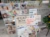 1371 - 20250411 Takeshita Animal Cafes Google Pixel 9 Pro XL