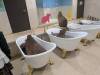 1601 - 20250412 Odaiba Animal Cafe Google Pixel 9 Pro XL