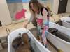 1606 - 20250412 Odaiba Animal Cafe Google Pixel 9 Pro XL