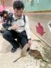 1618 - 20250412 Odaiba Animal Cafe Apple iPhone 13 Pro Max