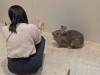 1631 - 20250412 Odaiba Animal Cafe Google Pixel 9 Pro XL