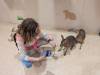 1638 - 20250412 Odaiba Animal Cafe Google Pixel 9 Pro XL