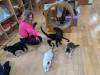 2181 - 20250413 Takayama Cat Cafe Google Pixel 9 Pro XL