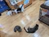2183 - 20250413 Takayama Cat Cafe Google Pixel 9 Pro XL