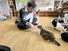 2186 - 20250413 Takayama Cat Cafe Apple iPhone 13 Pro Max