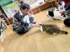 2187 - 20250413 Takayama Cat Cafe Apple iPhone 13 Pro Max