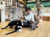 2189 - 20250413 Takayama Cat Cafe Apple iPhone 13 Pro Max