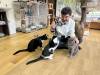 2190 - 20250413 Takayama Cat Cafe Apple iPhone 13 Pro Max