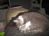 209 - Sleep