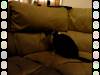 972 - Attack Couch