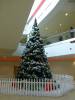 210 - Xmas ShoppingCtr