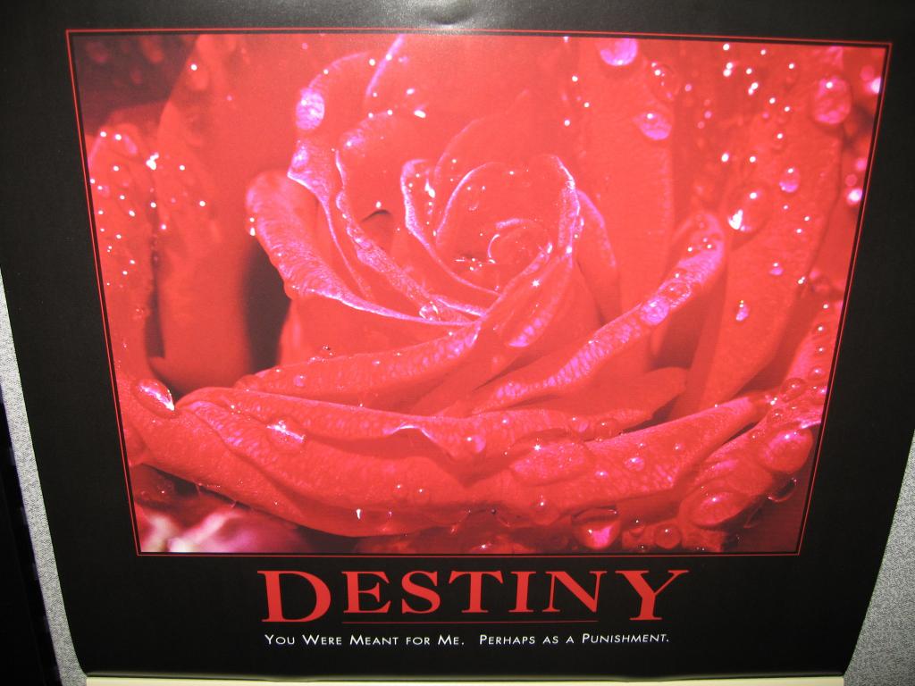 140 - Destiny