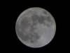 102 - 20120505 SuperMoon